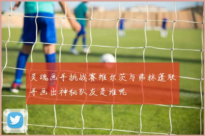 灵魂画手挑战赛维尔茨与弗林蓬联手画出神秘队友是谁呢
