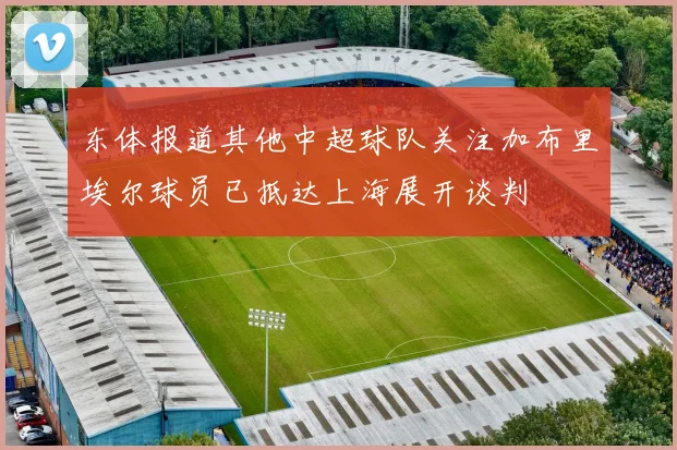 东体报道其他中超球队关注加布里埃尔球员已抵达上海展开谈判