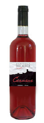 barbaresco canova
