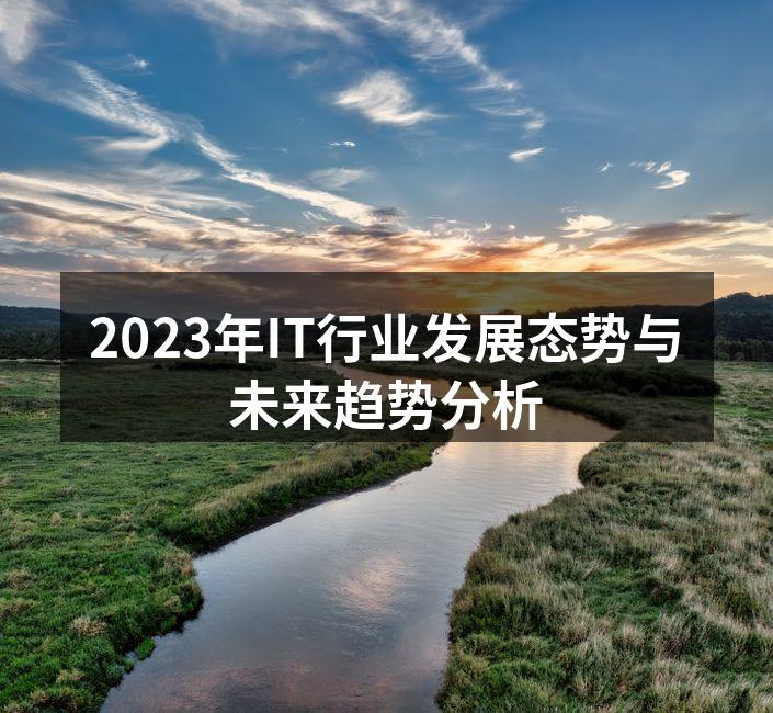 2023年IT行业发展态势与未来趋势分析