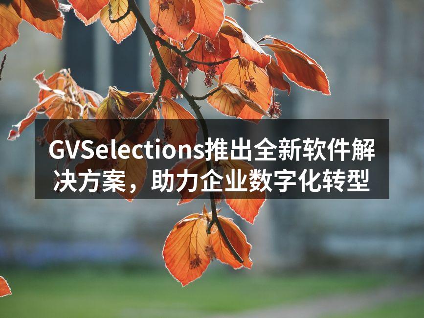 GVSelections推出全新软件解决方案，助力企业数字化转型