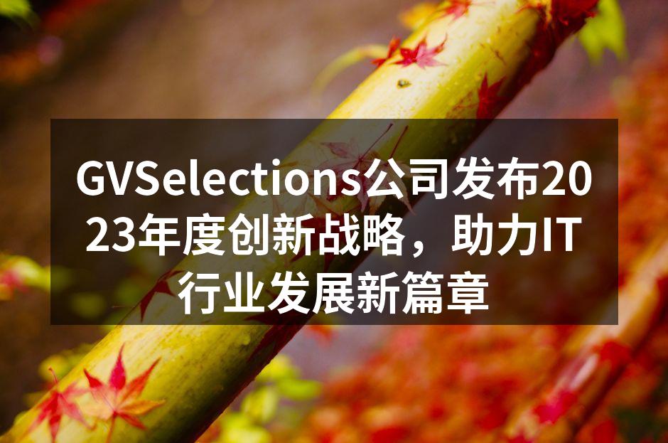 GVSelections公司发布2023年度创新战略，助力IT行业发展新篇章